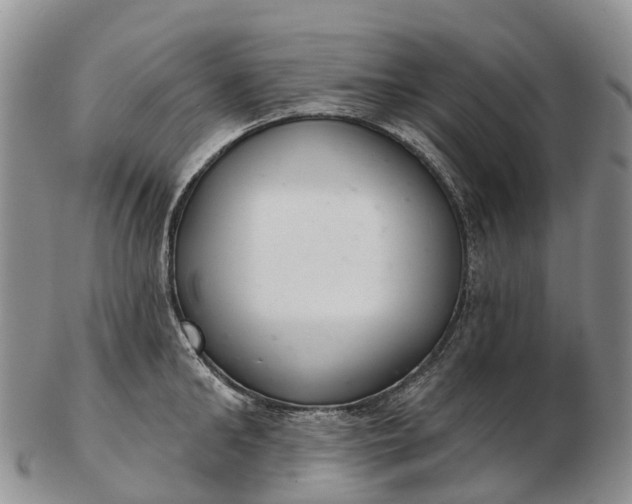 X0000103260902200809121921