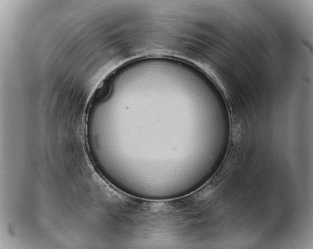 X0000103260903200809121920