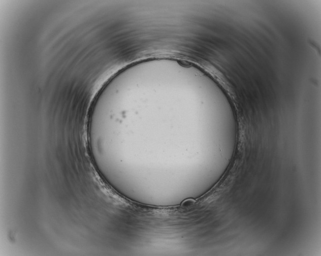 X0000103260904200809121920