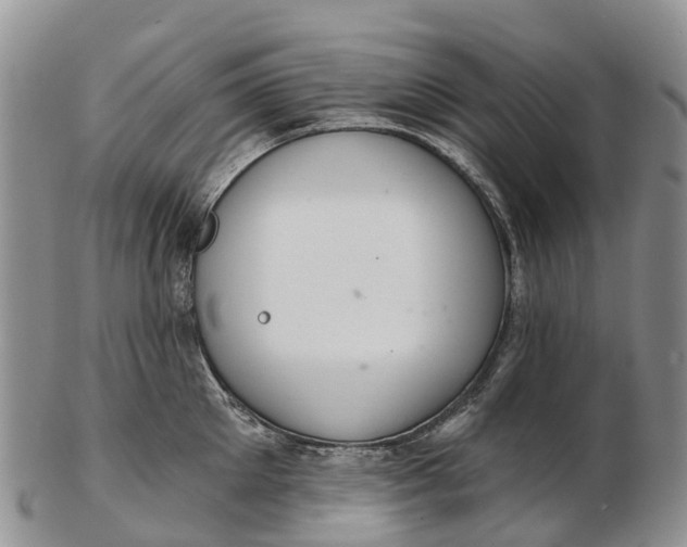 X0000103260905200809121920