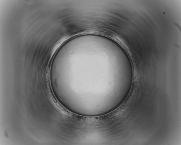 X0000103260907200809121920