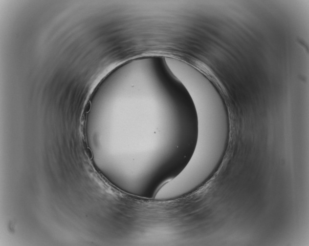 X0000103260908200809121920