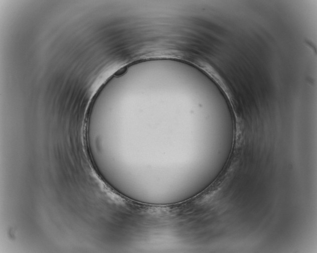 X0000103260909200809121920