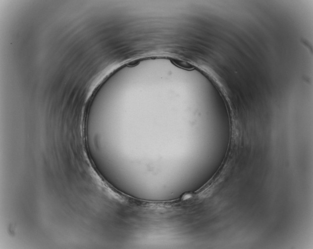 X0000103260910200809121920