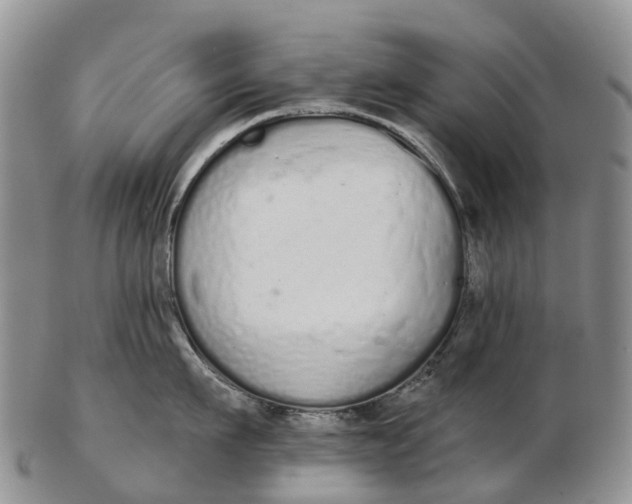 X0000103260911200809121920