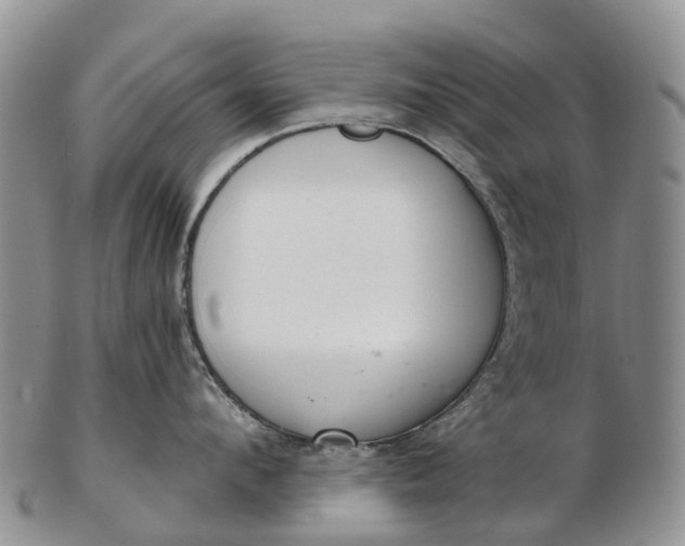 X0000103260912200809121920