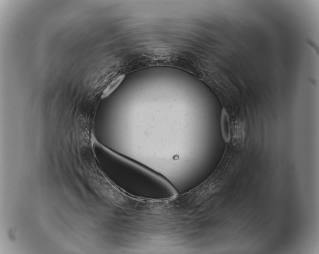 X0000103260916200809121920