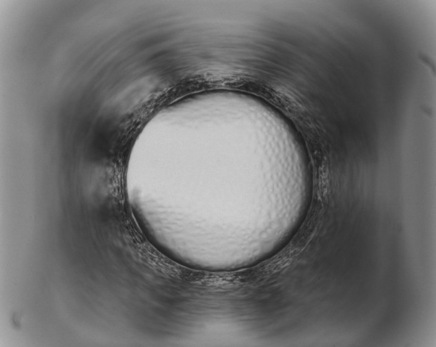 X0000103260917200809121920