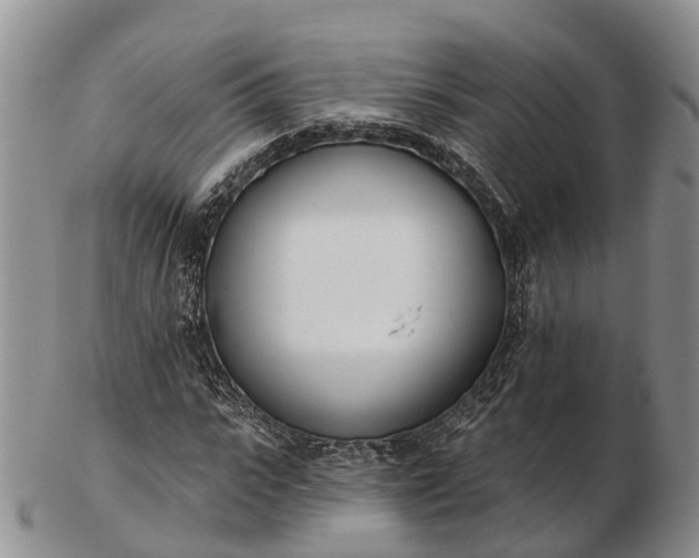 X0000103260919200809121920