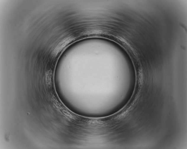 X0000103260921200809121920