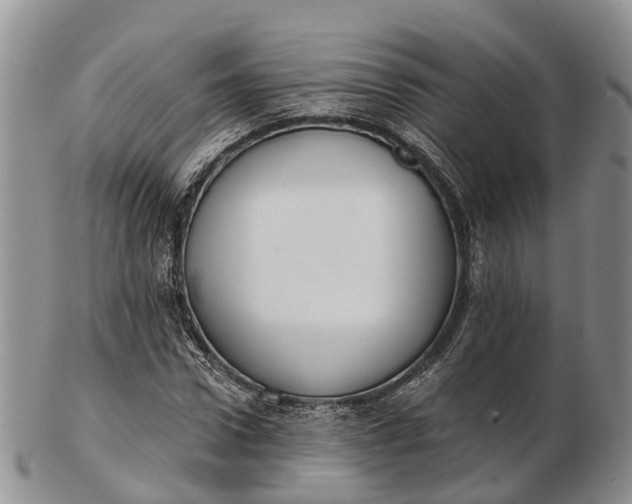 X0000103260922200809121920