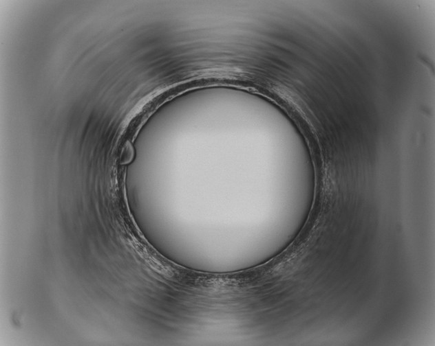 X0000103260923200809121920