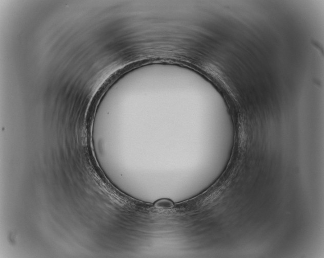 X0000103260924200809121920