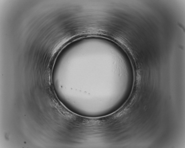 X0000103260925200809121920