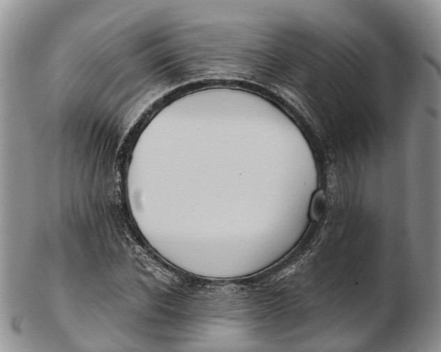 X0000103260926200809121920