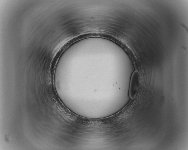 X0000103260927200809121920