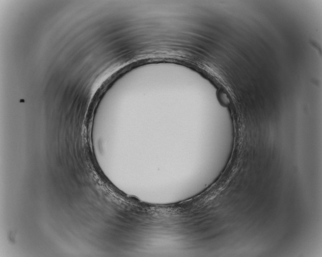 X0000103260928200809121920