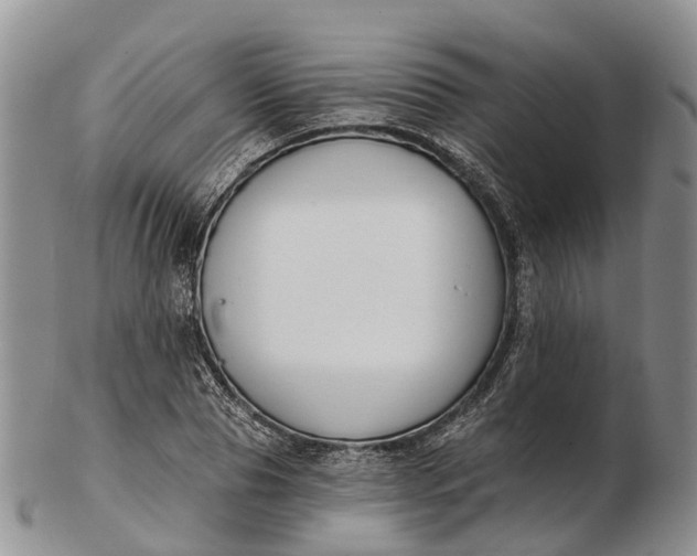 X0000103260929200809121920