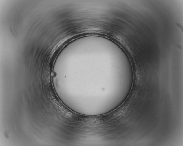 X0000103260931200809121920