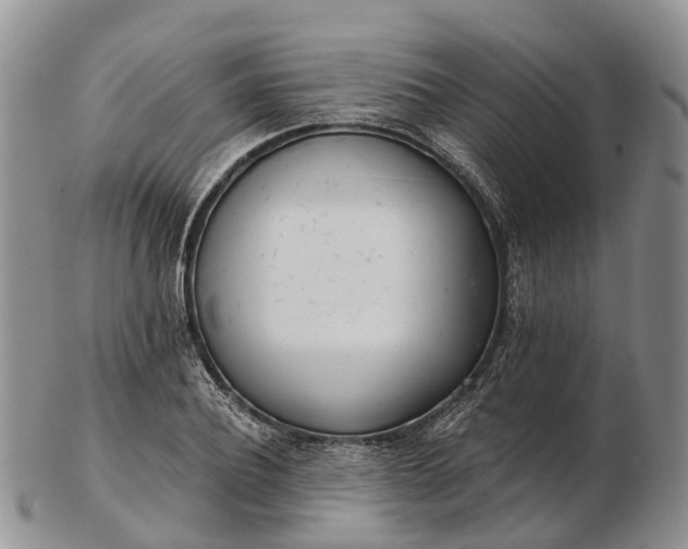 X0000103260932200809121920