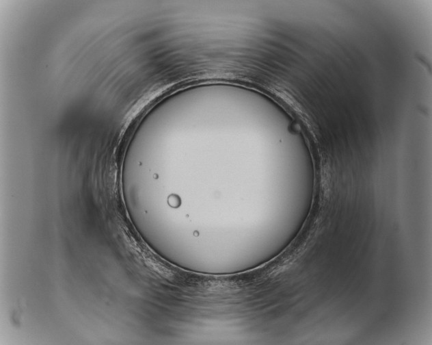 X0000103260933200809121920