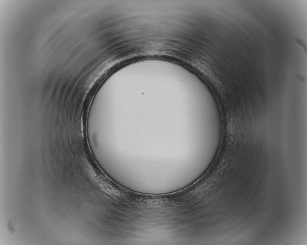 X0000103260934200809121920