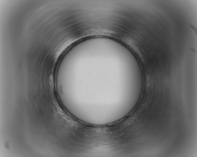 X0000103260936200809121920