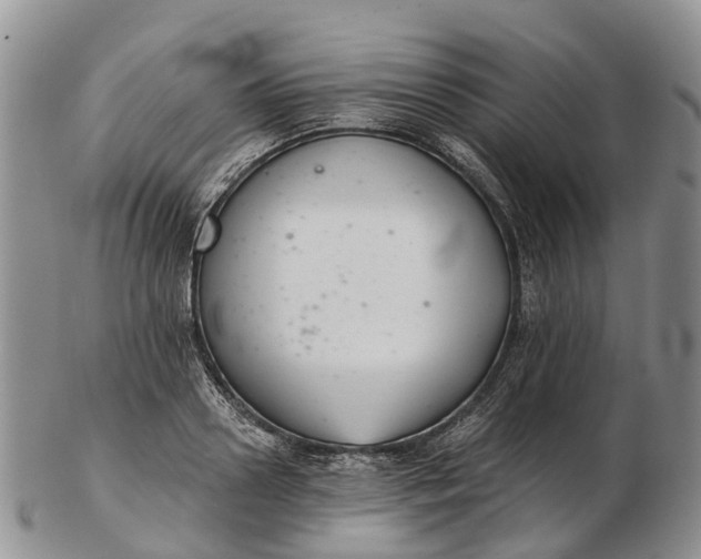 X0000103260938200809121920