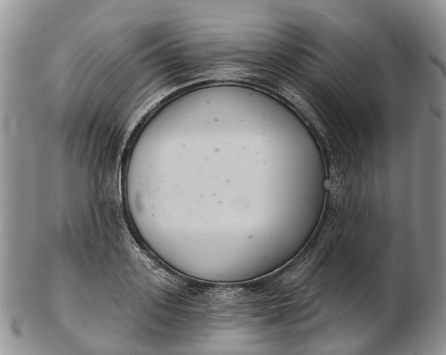 X0000103260939200809121920