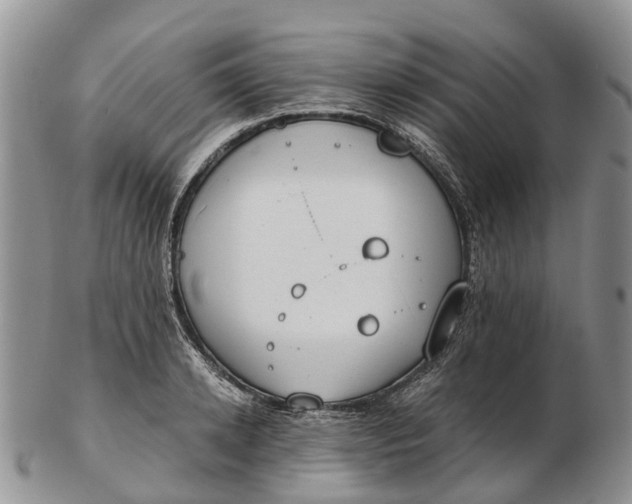 X0000103260942200809121920