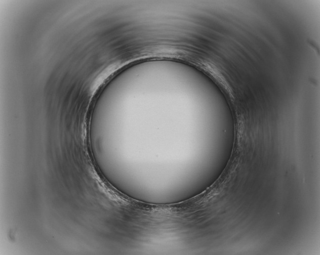 X0000103260944200809121920