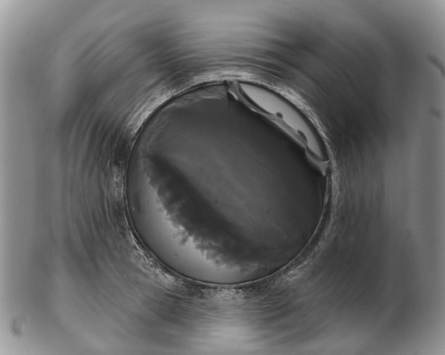 X0000103260945200809121920