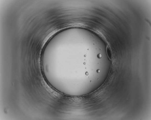 X0000103260947200809121920