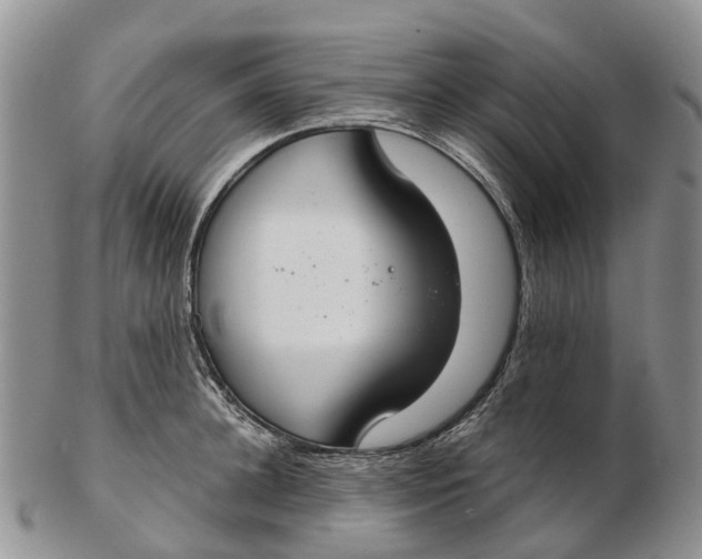 X0000103260948200809121920