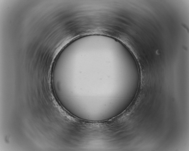 X0000103260949200809121920