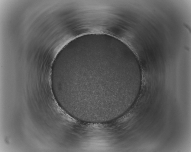 X0000103260950200809121920