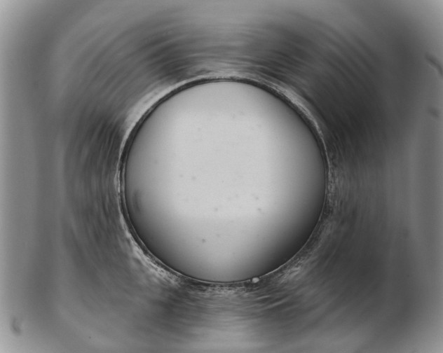 X0000103260951200809121920