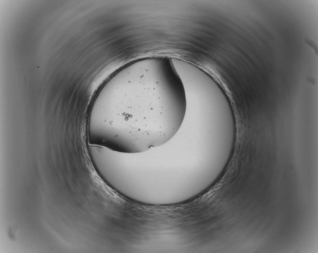 X0000103260952200809121920