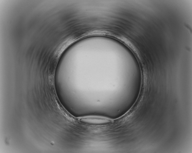 X0000103260953200809121920