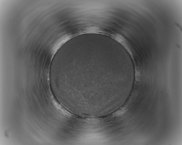 X0000103260954200809121920