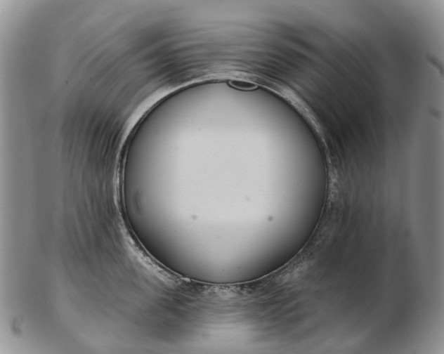 X0000103260955200809121920