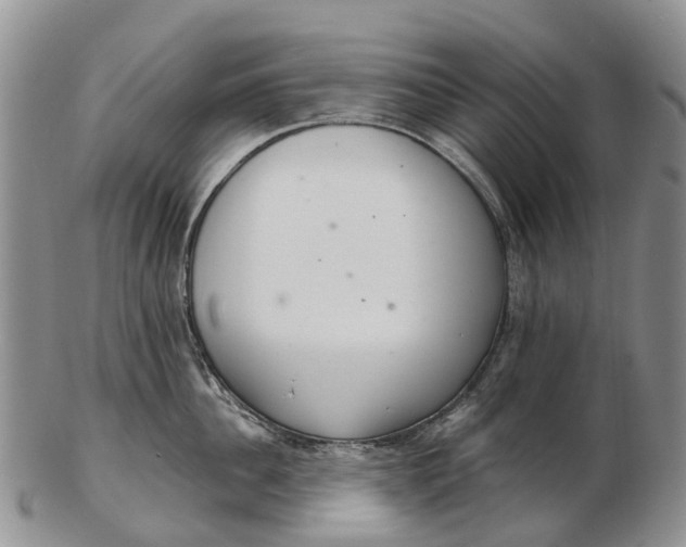 X0000103260956200809121920