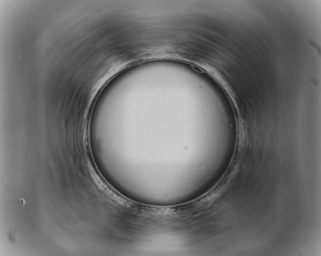 X0000103260957200809121920