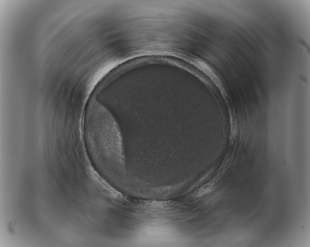 X0000103260958200809121920