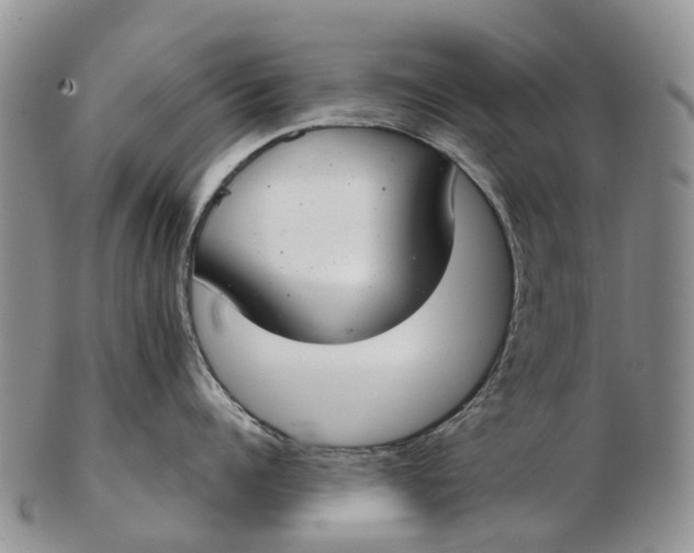 X0000103260960200809121920