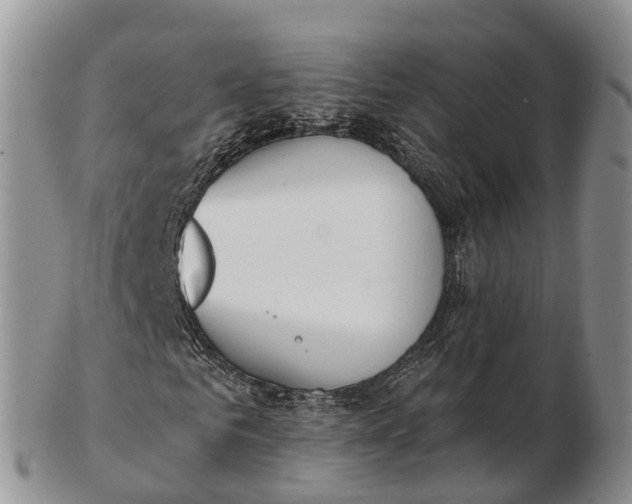 X0000103260961200809121920