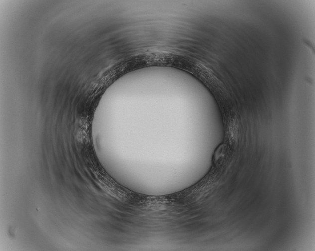 X0000103260964200809121920