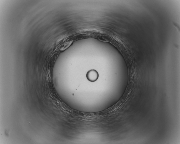 X0000103260965200809121920