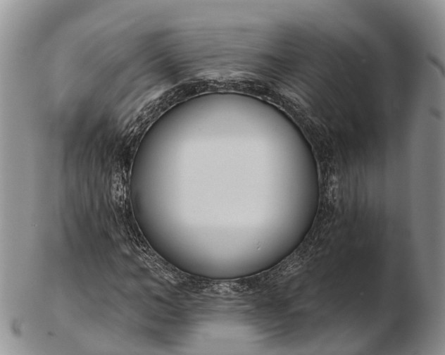 X0000103260966200809121920