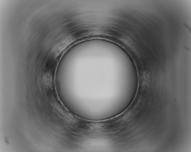 X0000103260969200809121920